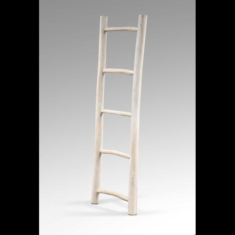 Branch Ladder - Whitewash